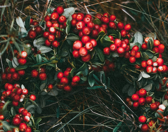 Gasthaus-Crames-weihnachten à la Carte